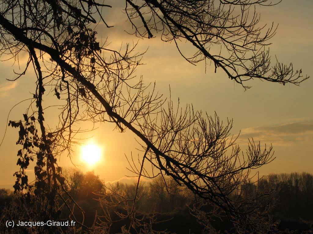 2005-11-19 08-17-46 novembre 112,7mm 1_640_eme f8,0(x1024).jpg